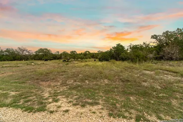 Mico, TX 78056,LOT 35B Pr 2533