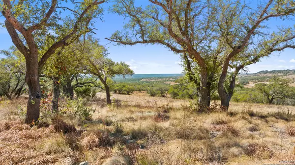 Blanco, TX 78606,4 E Twisted Oak Trail