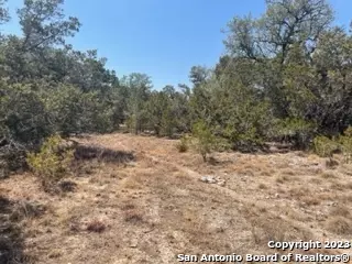 Spring Branch, TX 78070,LOT 36 CLIFF DR