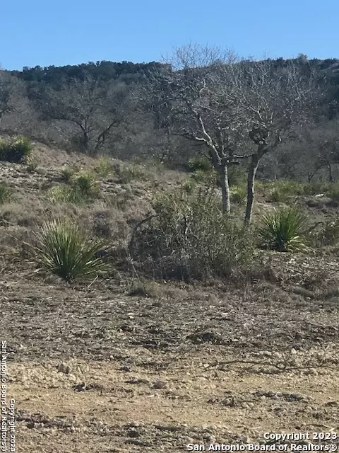 Pipe Creek, TX 78063,LOT 54 Blackbuck Trail