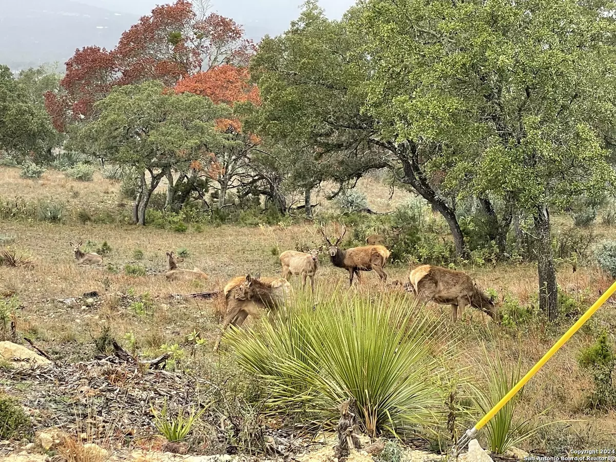 Pipe Creek, TX 78063,LOT 54 Blackbuck Trail