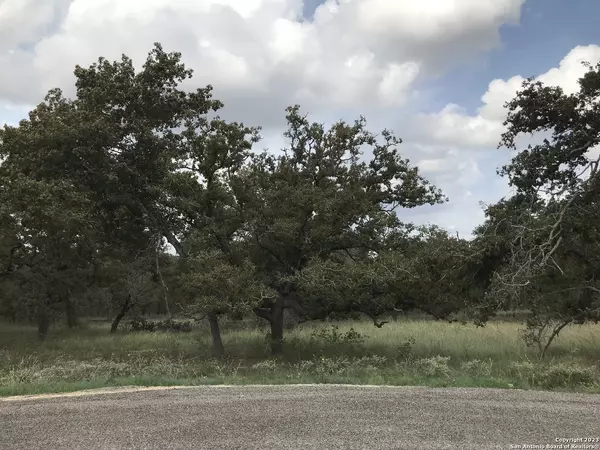 La Vernia, TX 78121,184 HONDO RIDGE