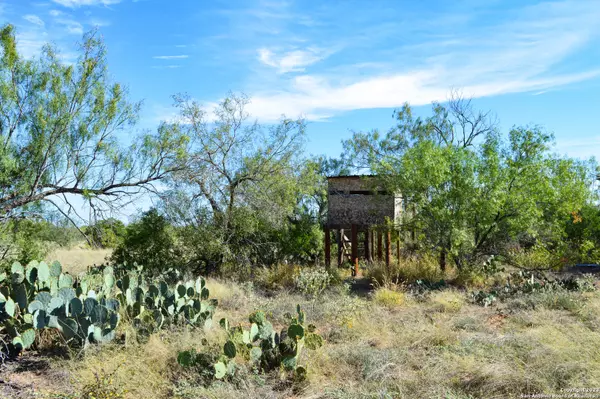 Carrizo Springs, TX 78834,TBD CR 1957