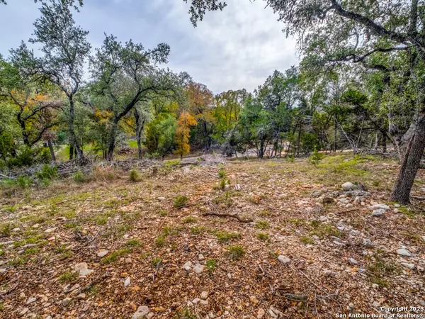 Wimberley, TX 78676,112 Woodacre Dr.