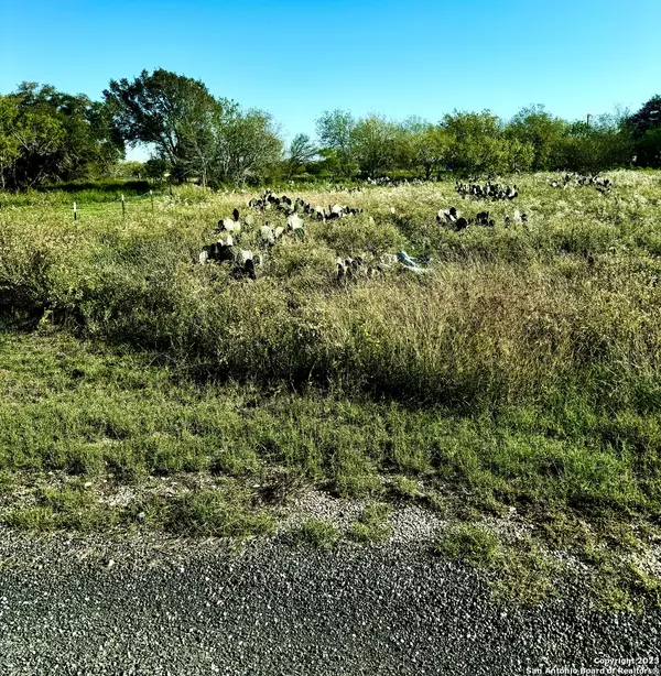 250 County Road 2646,  Moore,  TX 78057