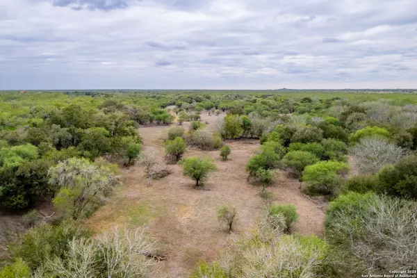 Three Rivers, TX 78071,TBD County Road 436