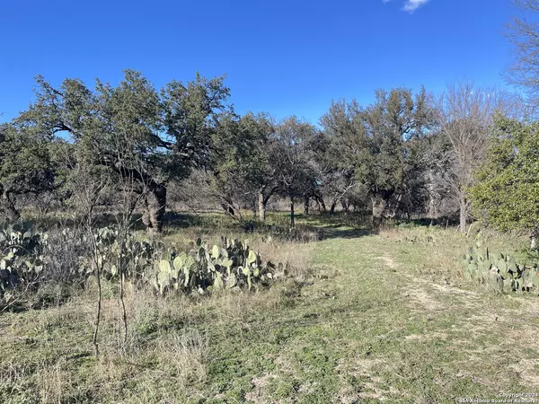 Junction, TX 76849,TBD Tortuga Lane