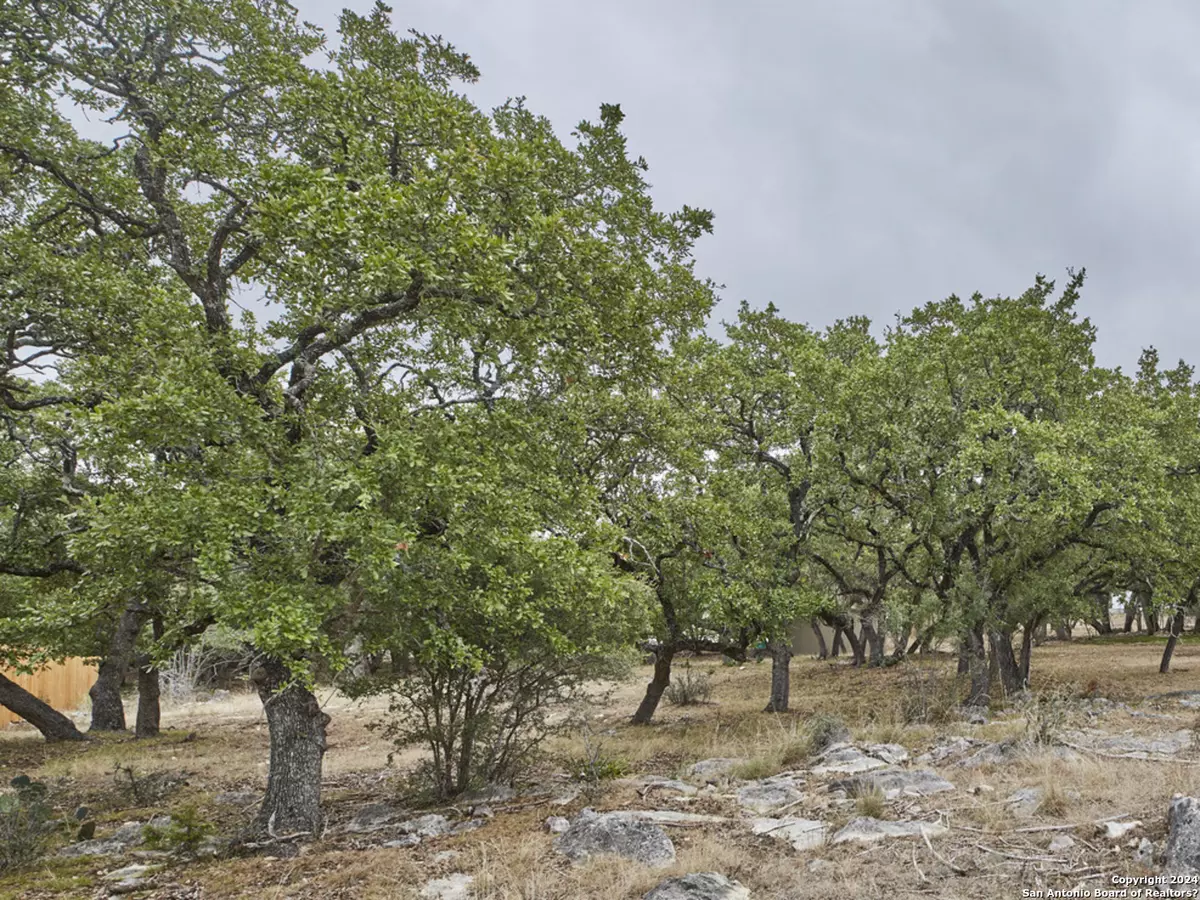 Boerne, TX 78006-3815,215 MOUNTAIN CREEK TRAIL