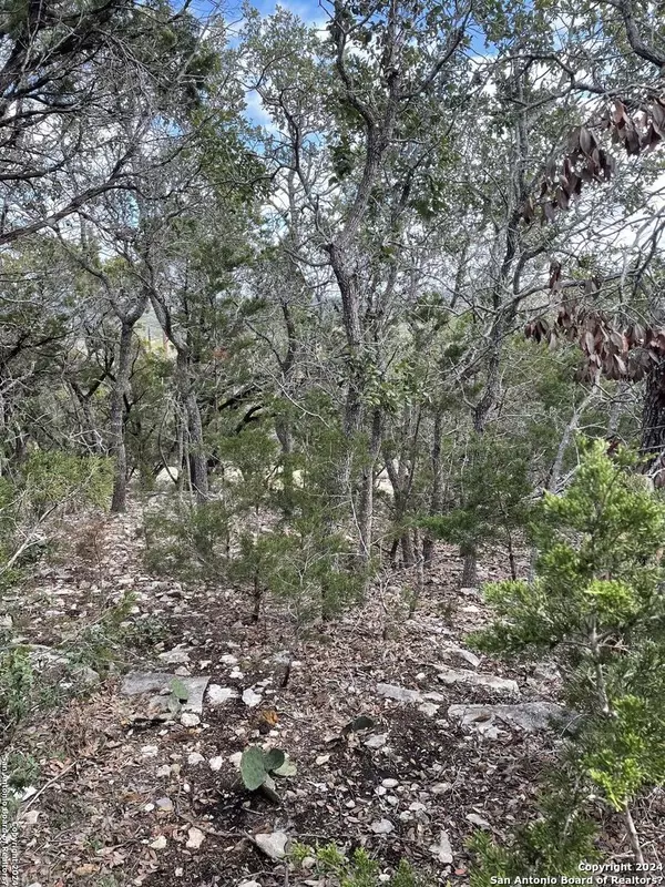 Canyon Lake, TX 78133,209 CLOUD TOP