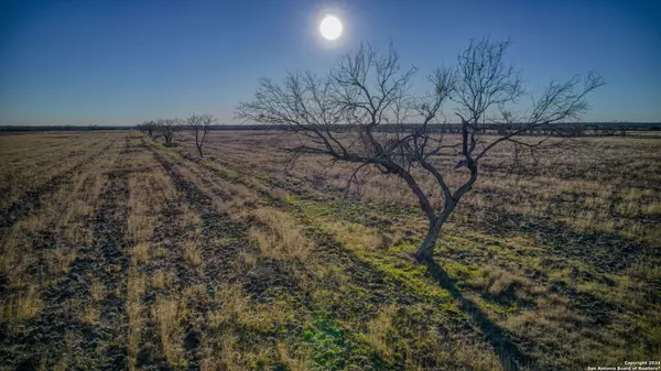 Jourdanton, TX 78026,6870 CR 329