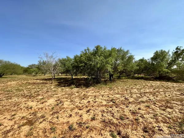 Dilley, TX 78017,0 Hunter Lane