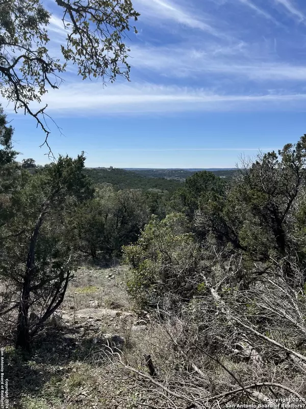 Mico, TX 78056,PR 2771 Lot 1 Unit 4