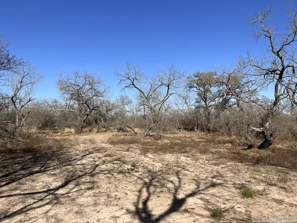 Bigfoot, TX 78005,4856 B State Hwy 173