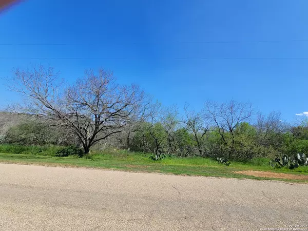 Floresville, TX 78114,167 Country View Ln