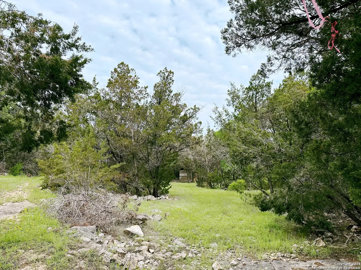 Spring Branch, TX 78070,0 FOREST LAKE DR