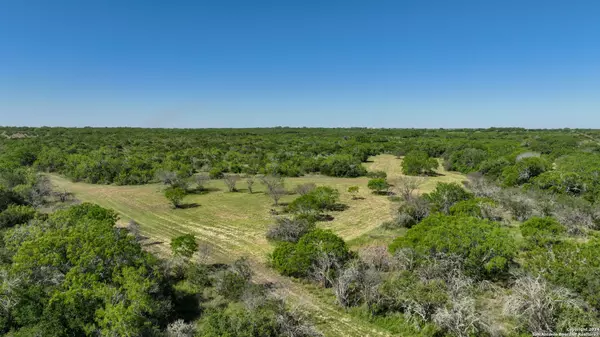 George West, TX 78466,48.25 ACRES County Road 114