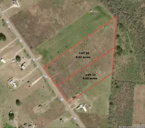 Devine, TX 78016,LOT 30 HIGHWAY 173