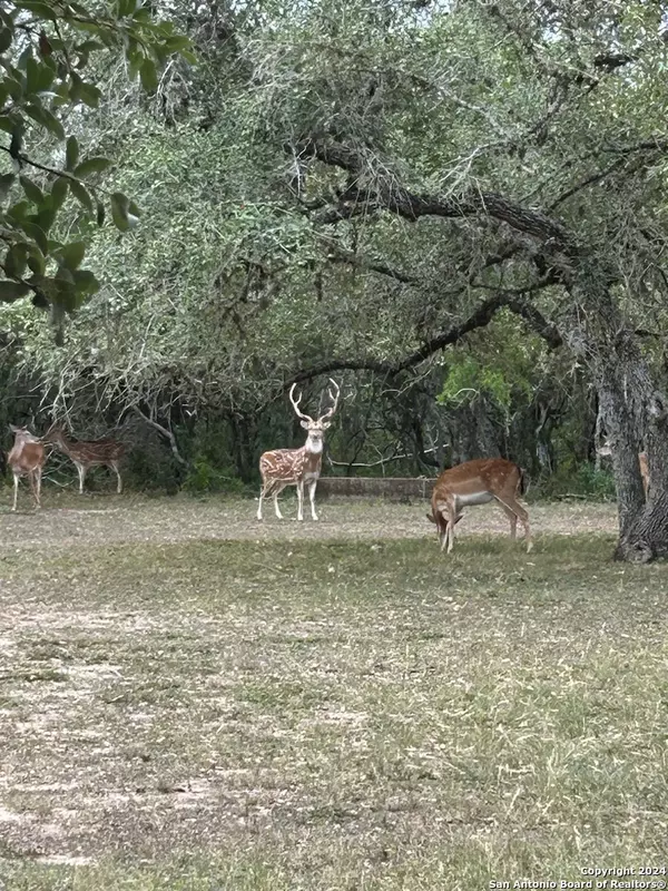 Beeville, TX 78102,305 CR 305