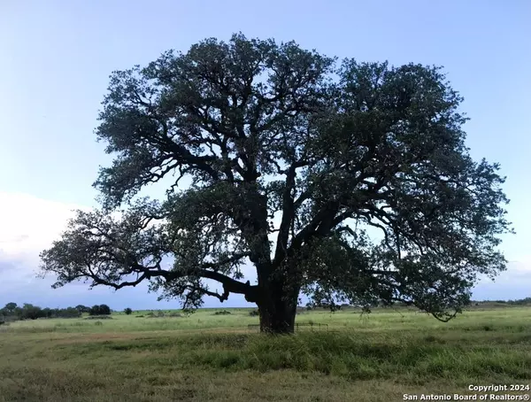 TBD County Road 2530, Moore, TX 78057