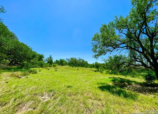 Kerrville, TX 78028-6242,LOT 51 Table Rock Dr. LOMA VISTA RANCH #4