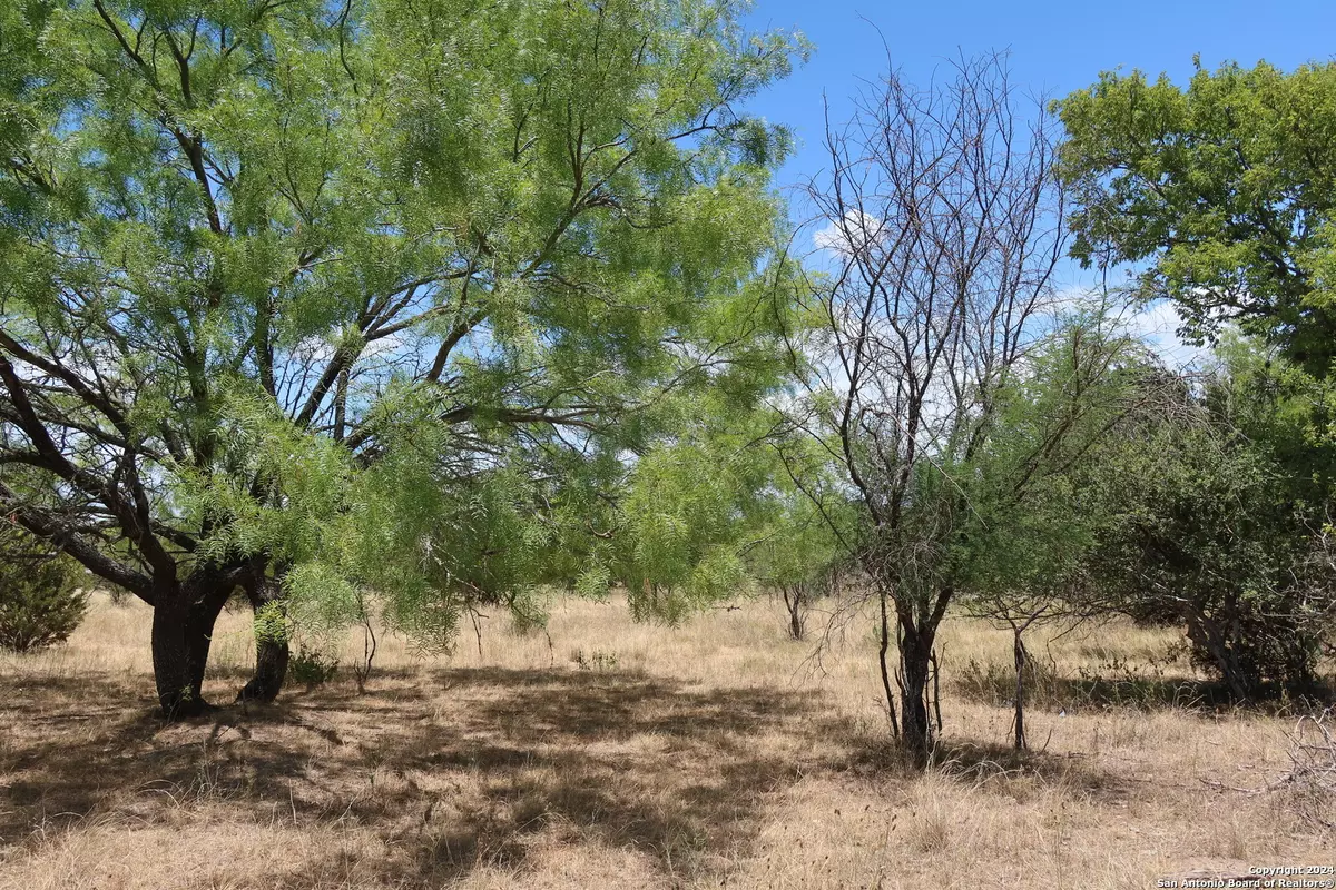 Bandera, TX 78003,LOT 24 Cypress