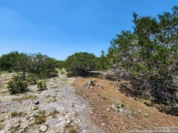 Boerne, TX 78006,113 RIVER RDG