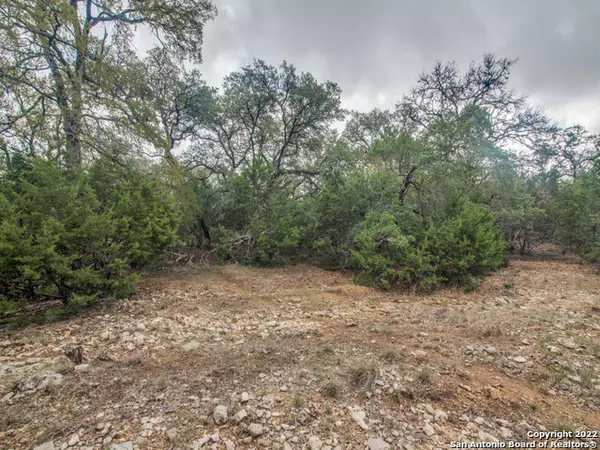 Spring Branch, TX 78070,109 LANTANA CERRO