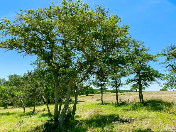 Kerrville, TX 78028,LOT 124 Loma Vista Ranch