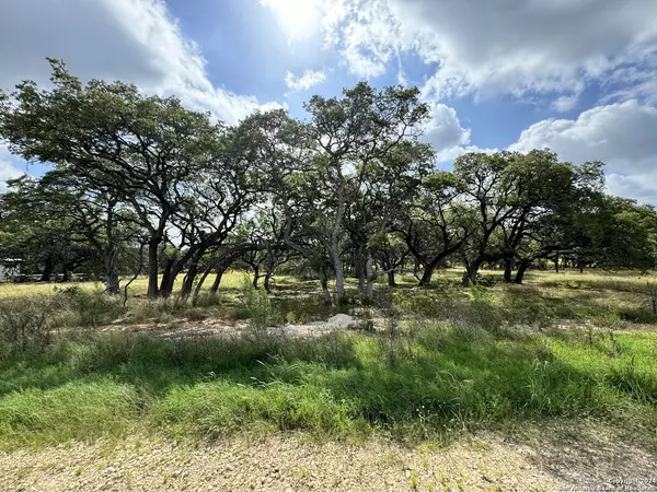 Bulverde, TX 78163,931 maximino ridge