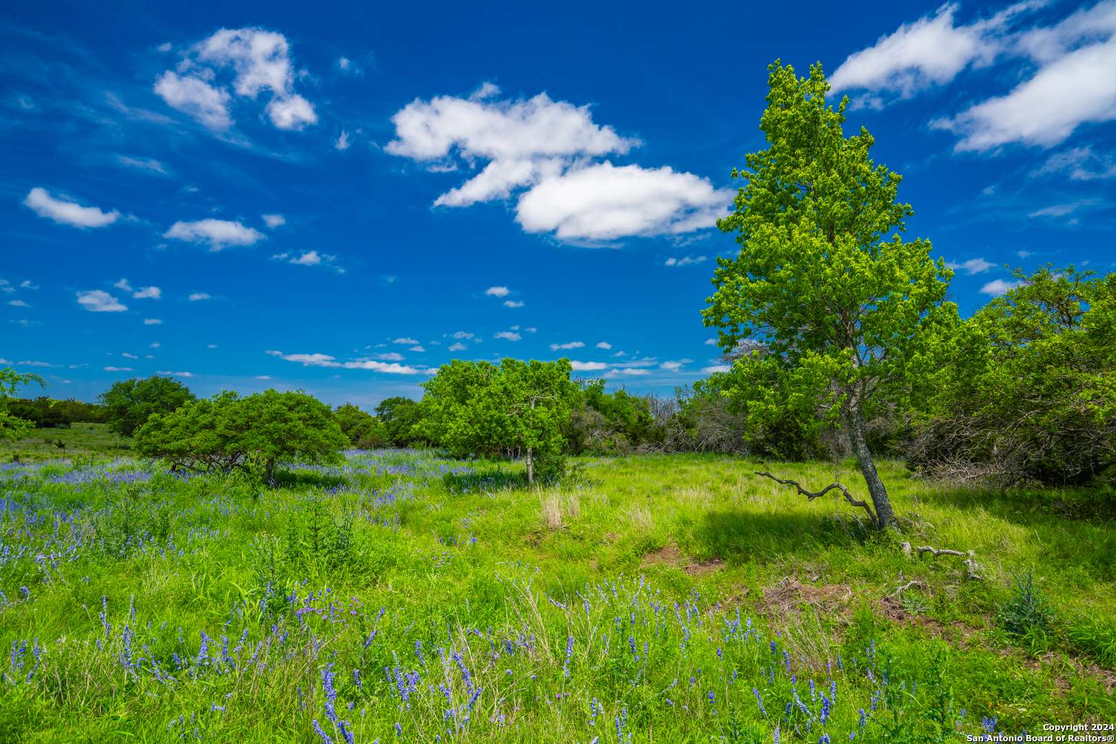 0 Jung Road, Harper, TX 78631