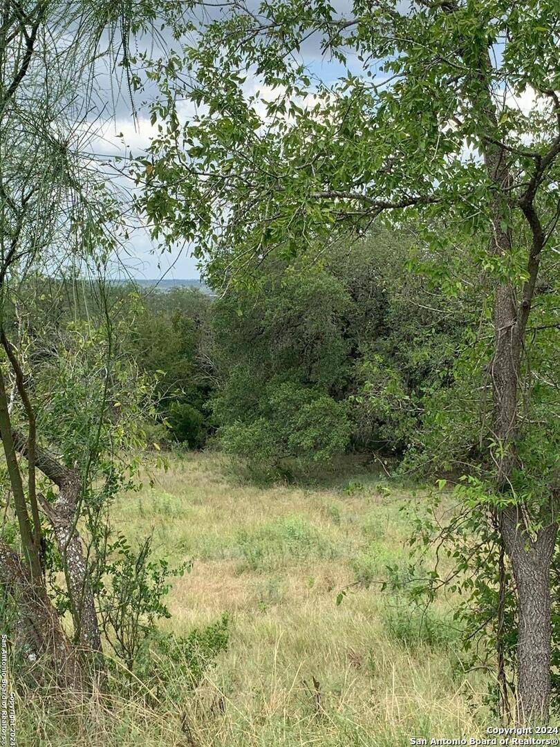 Castroville, TX 78009,00 River Bluff