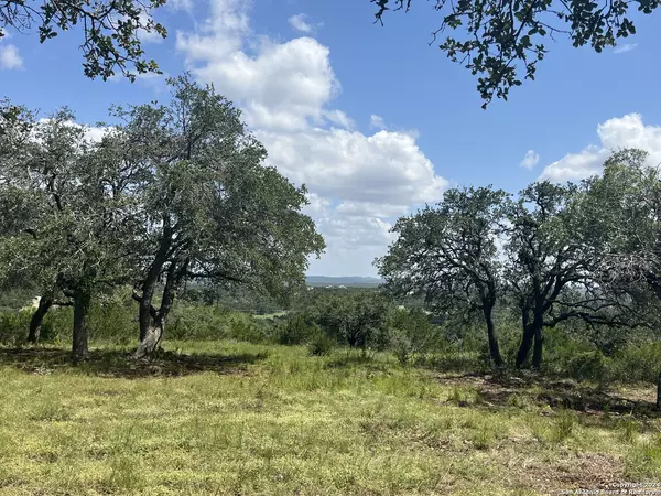 Boerne, TX 78006,12 Cordillera Rdge