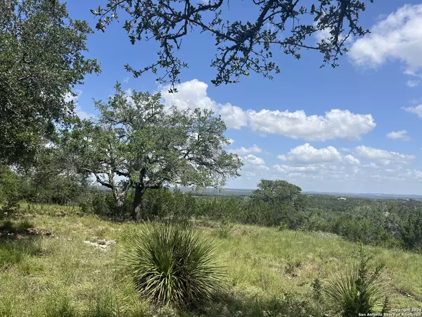 Boerne, TX 78006,12 Cordillera Rdge