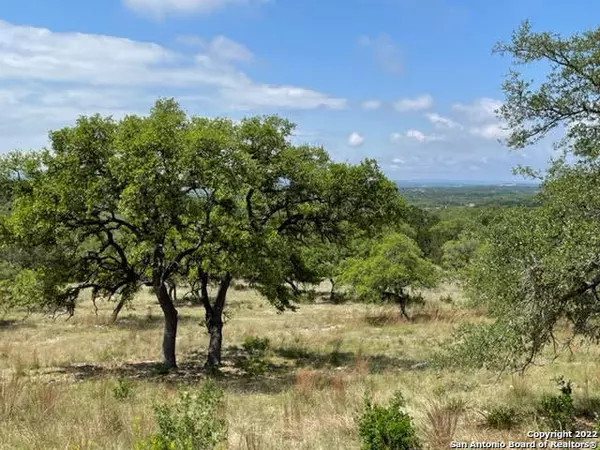 1074 Madrone Rd, Fischer, TX 78623