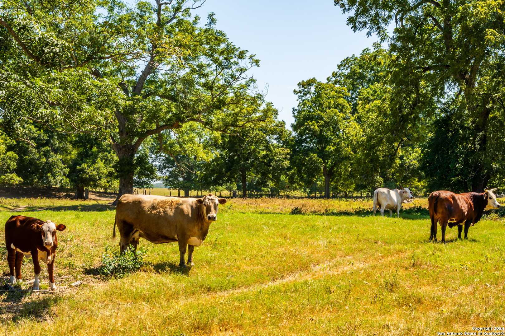 Gonzales, TX 78629,TBD SH-80 N