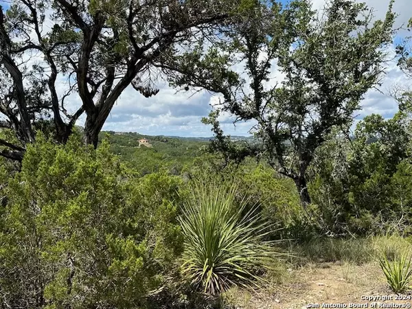 Canyon Lake, TX 78133,0 TBD SAN JUAN