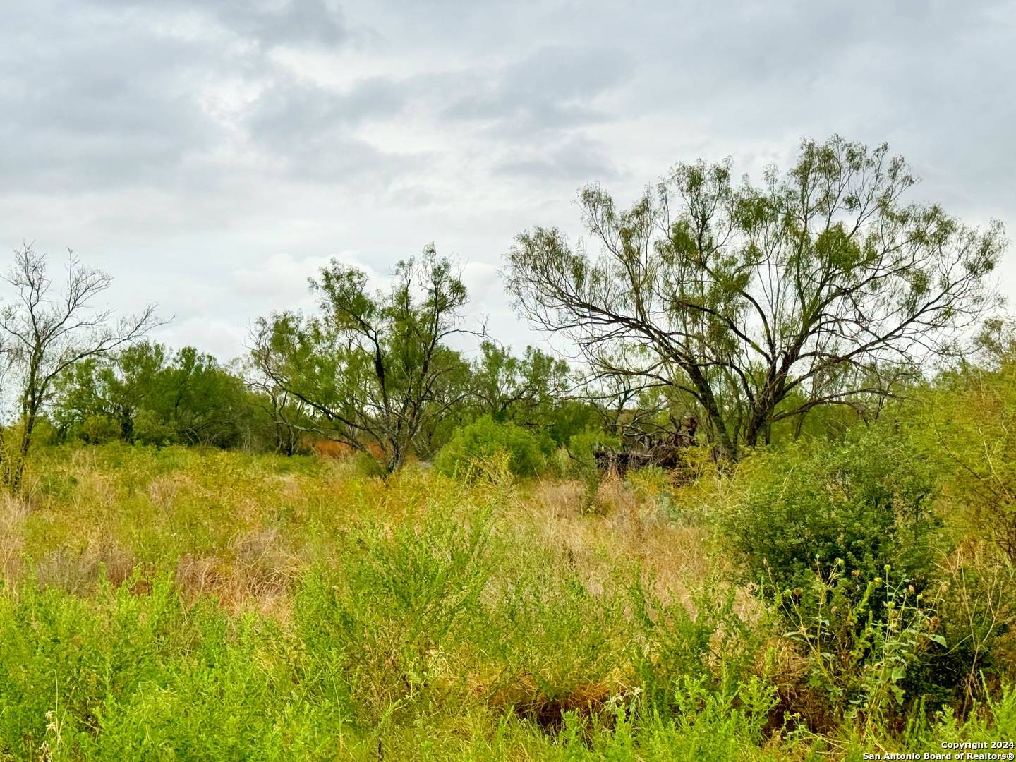 Devine, TX 78016,103 CR 2636