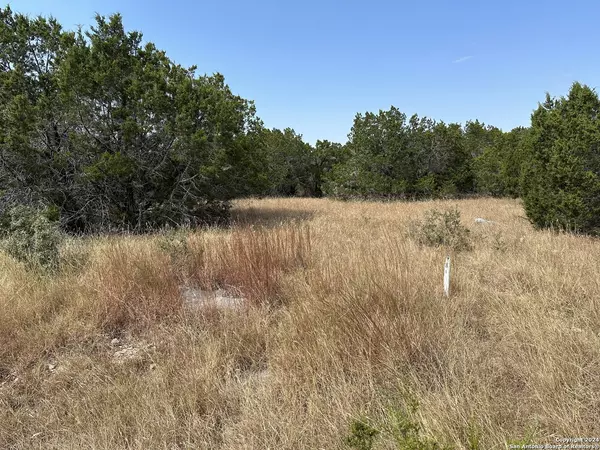 Spring Branch, TX 78070,754 rayner ranch