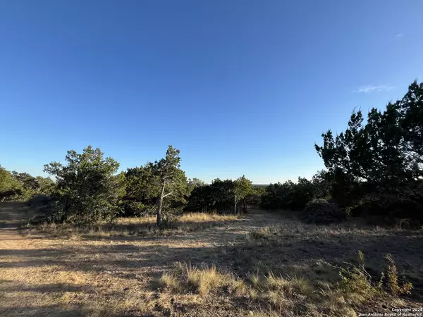 Johnson City, TX 78636,TBD Lost Oak Trail