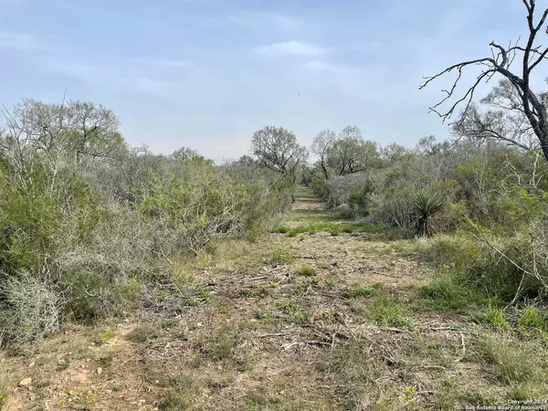 Moore, TX 78057,TRACT 4 CR 1670