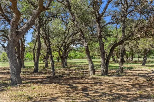 Fredericksburg, TX 78624,250 Brecken Ranch Road