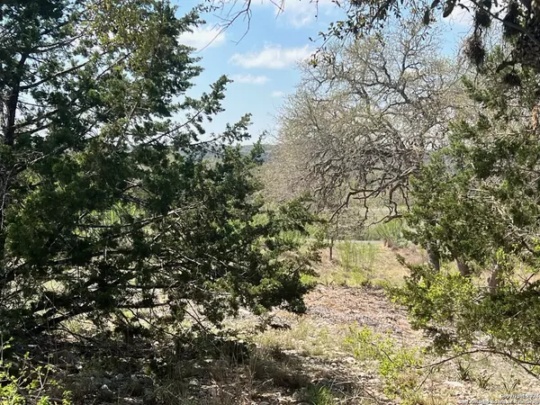 Spring Branch, TX 78070,288 River Cliff Pl