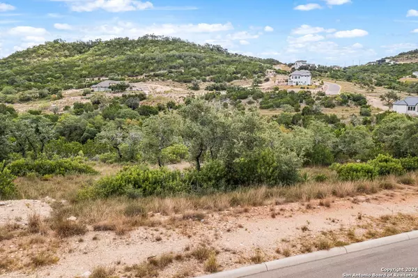 San Antonio, TX 78023,23514 BASSE CYN