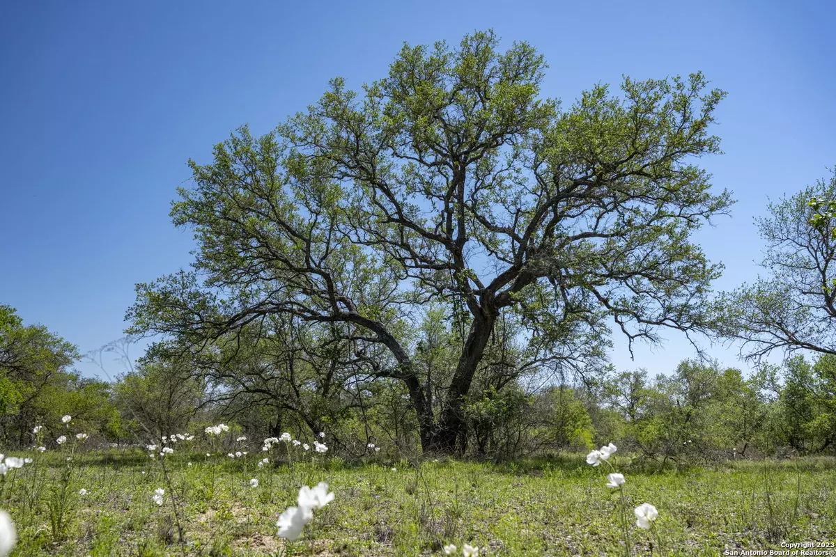 Natalia, TX 78059,2731 County Road 770