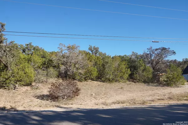 469 PERSIMMON PASS,  Fischer,  TX 78623