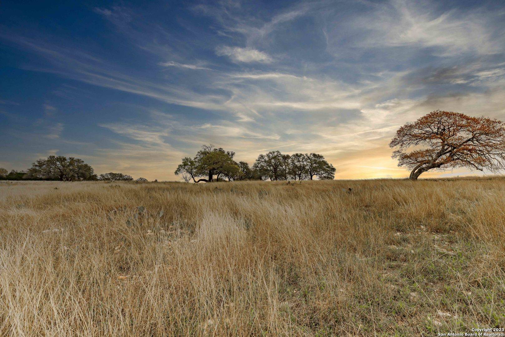 Kerrville, TX 78028,LOT 163 Cattlemens Crossing