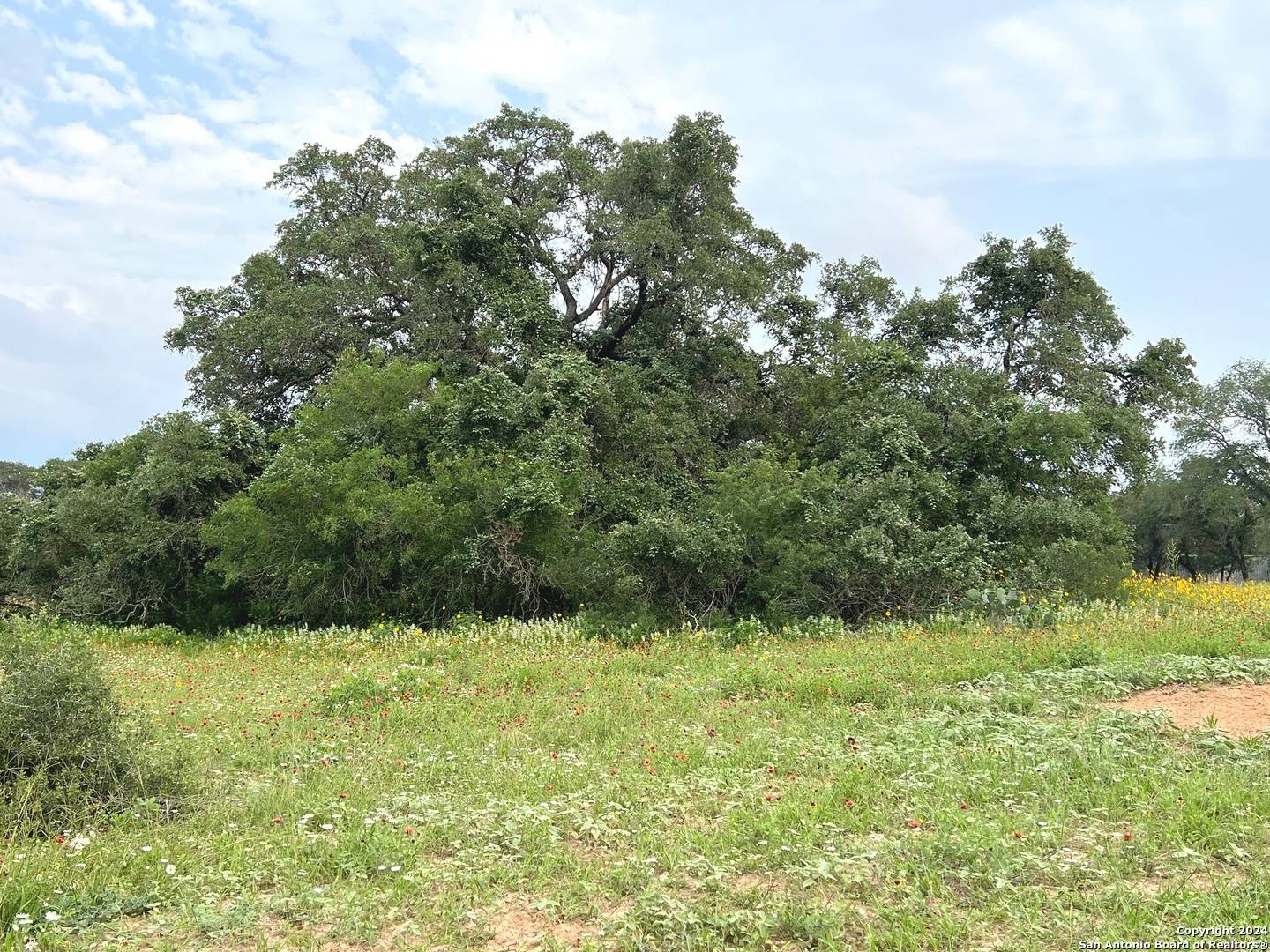 606 Sherrywood Ln, San Antonio, TX 78264