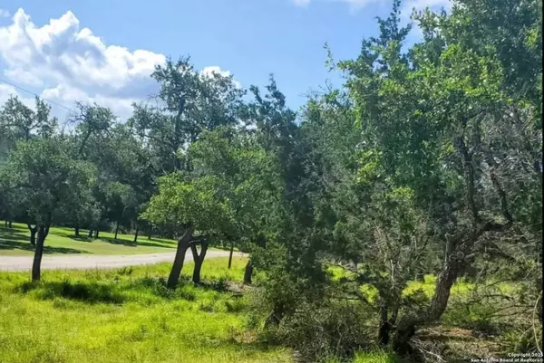 Spring Branch, TX 78070-4817,12033 Summer Meadows