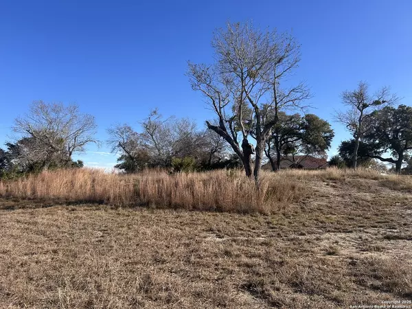 Canyon Lake, TX 78133,1222 LIBBY LOOKOUT