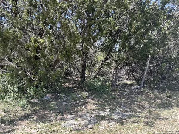 Canyon Lake, TX 78133,769 scenic hills